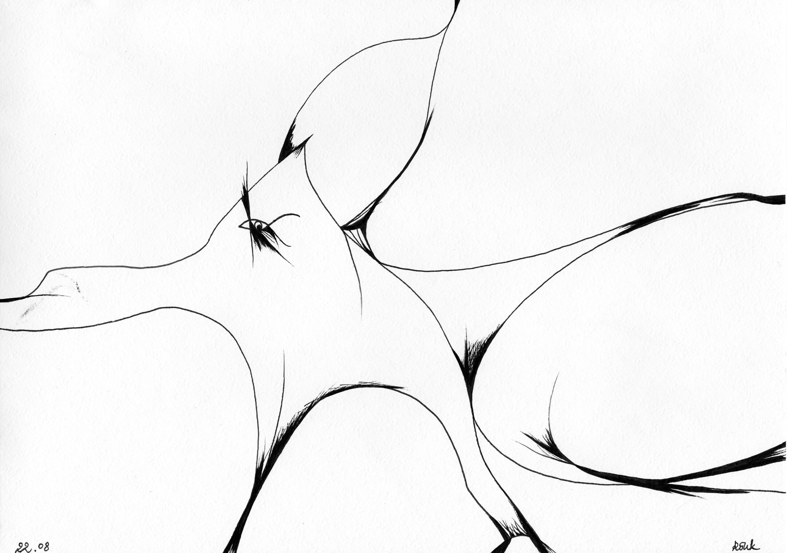 Maailma loomine 11